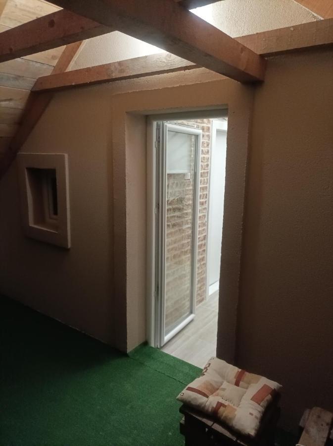 Apartmani Marija Zemun Zemun Polje Екстер'єр фото