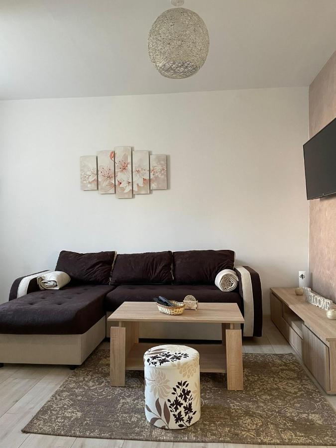 Apartmani Marija Zemun Zemun Polje Екстер'єр фото