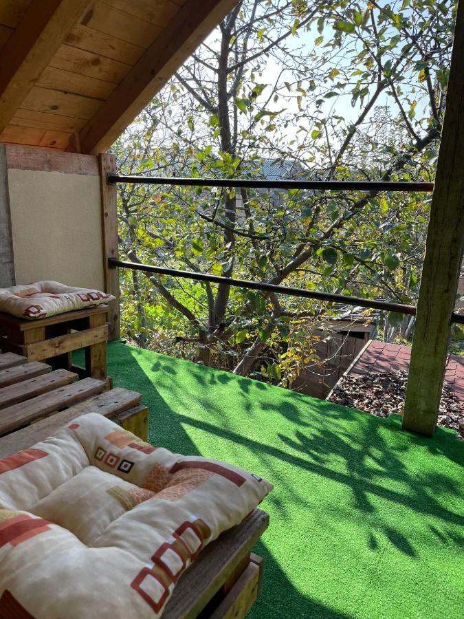 Apartmani Marija Zemun Zemun Polje Екстер'єр фото