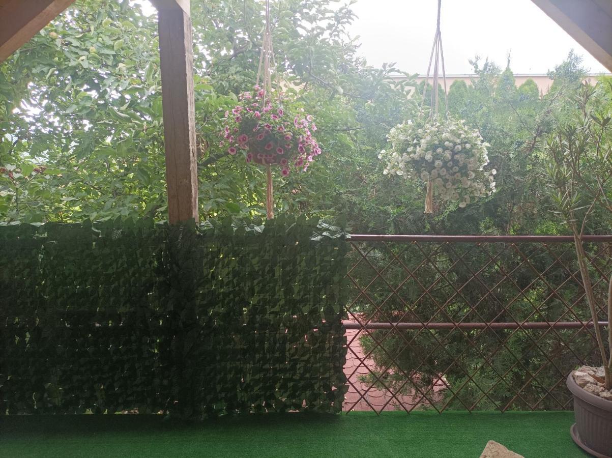 Apartmani Marija Zemun Zemun Polje Екстер'єр фото